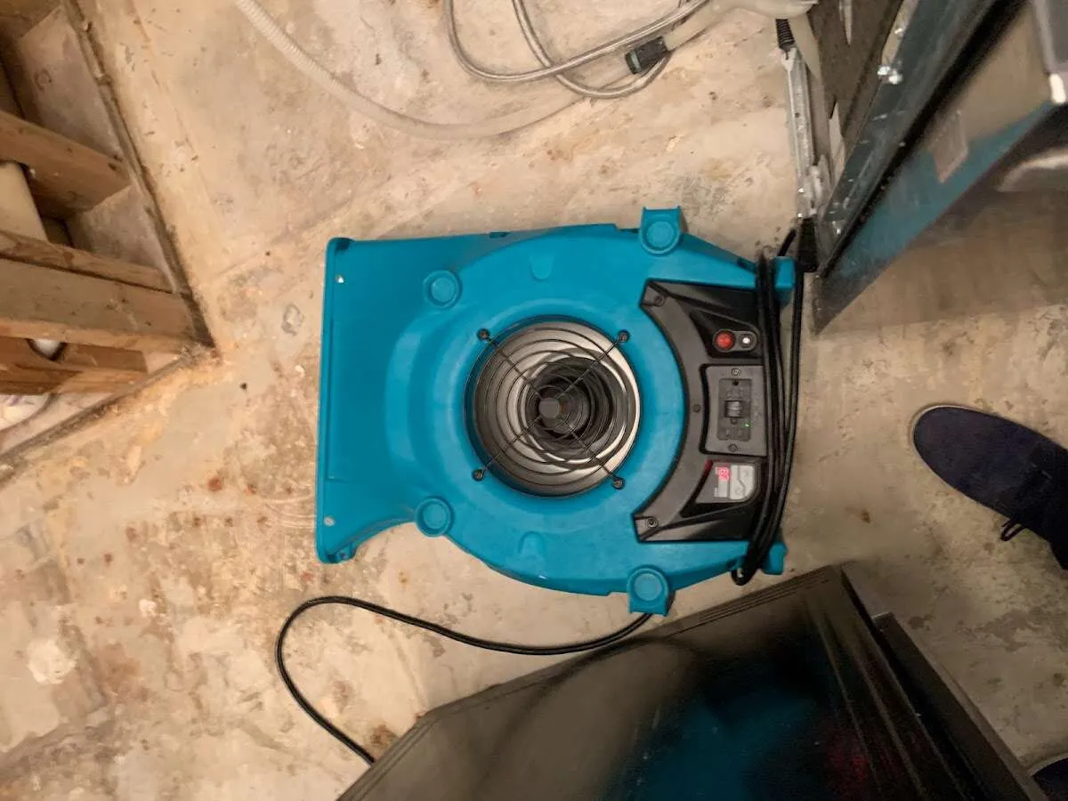 Air mover drying equipment for Mold Remediation & Removal in Longview